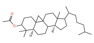 24-Dihydrocimicifugenol acetate